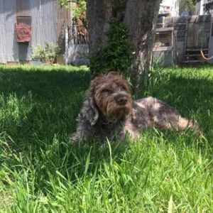 Meet your Posher, Tricia